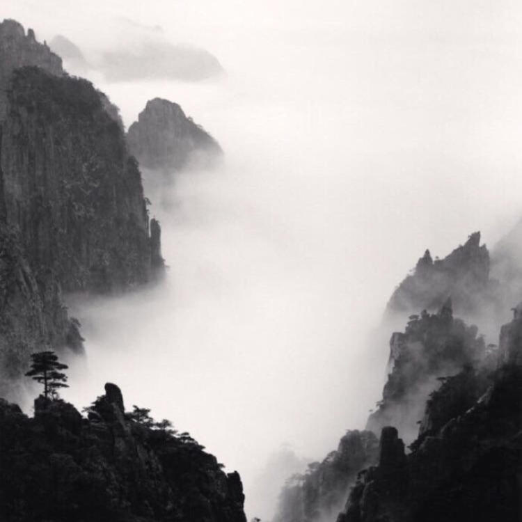 雪代缘（身份：雪代巴弟弟、上海黑帮老大、虎伏绝刀式使用者） - 纪录片4K资源在线观看 - 在线看视频